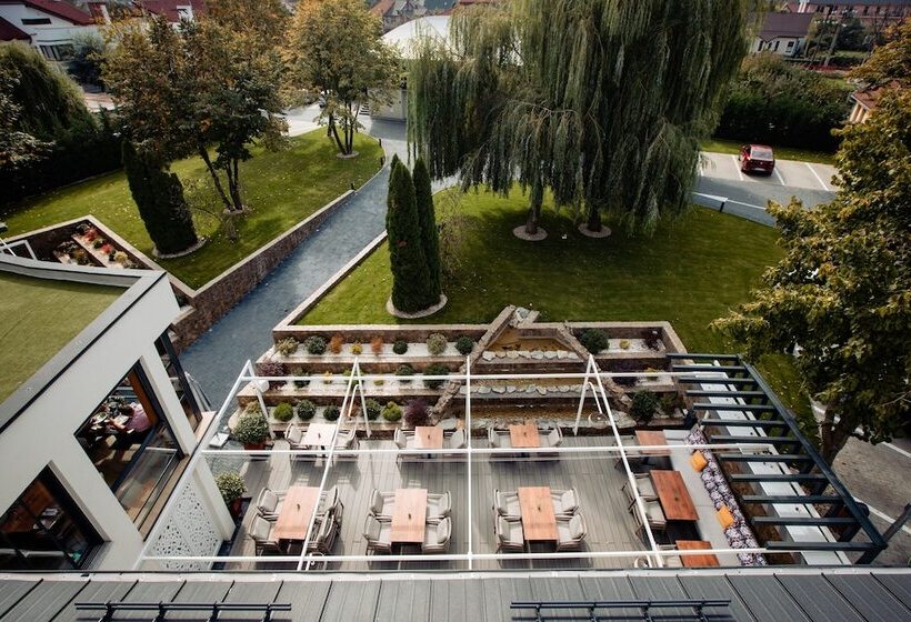 商务房间, Stein Collection