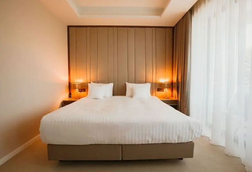 Quarto Classe Business, Stein Collection