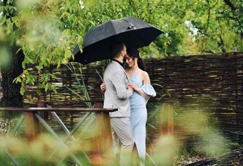 غرفة قياسية, Joyard   Pensiune & Parc