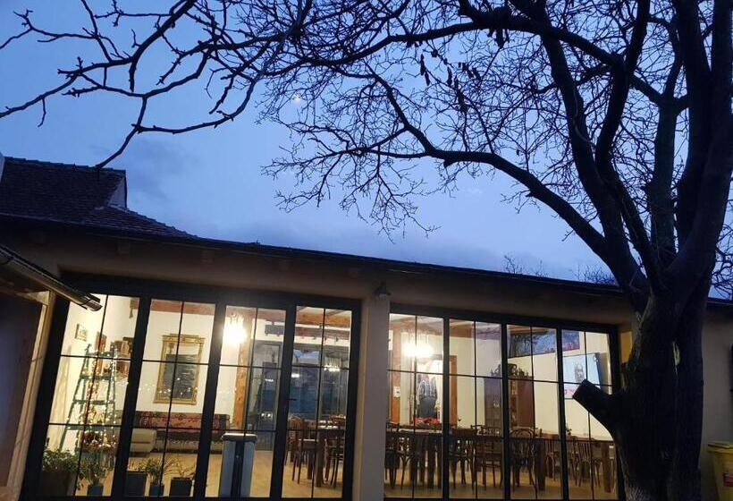 4间卧室的房子, Joyard Pensiune & Parc