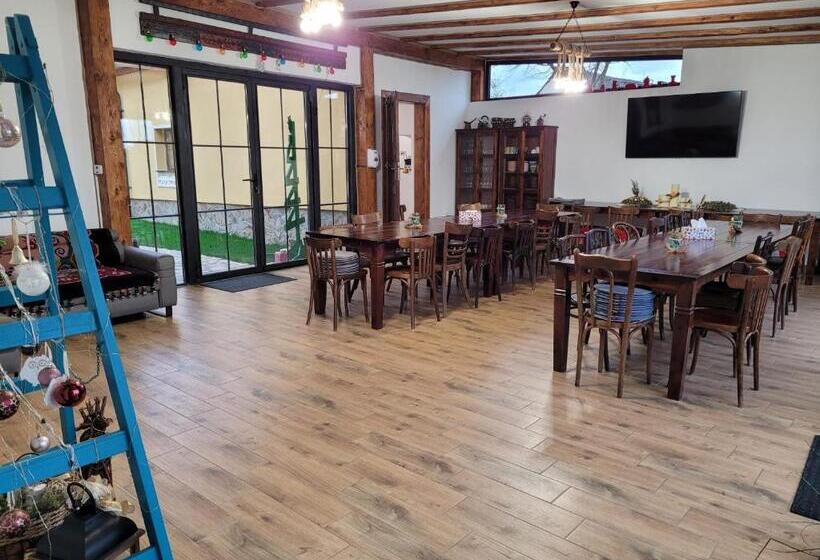 4间卧室的房子, Joyard Pensiune & Parc