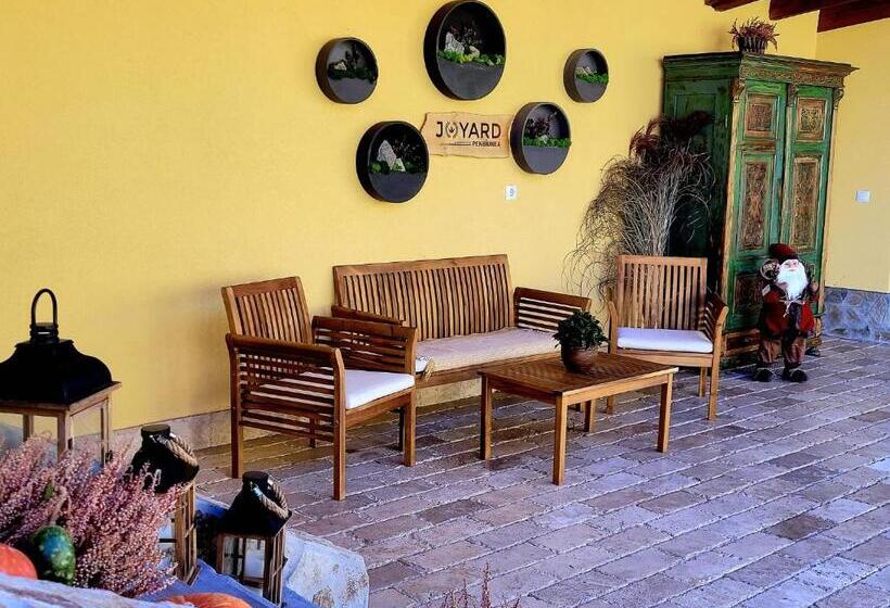 Дом 4 Спальни, Joyard Pensiune & Parc