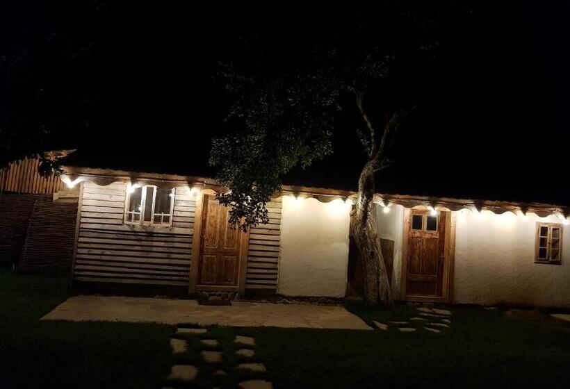 经济房, Joyard Pensiune & Parc