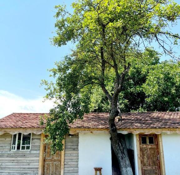 Дом 4 Спальни, Joyard Pensiune & Parc