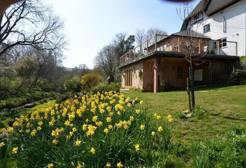スタンダードルーム, Thatchcombe B&b