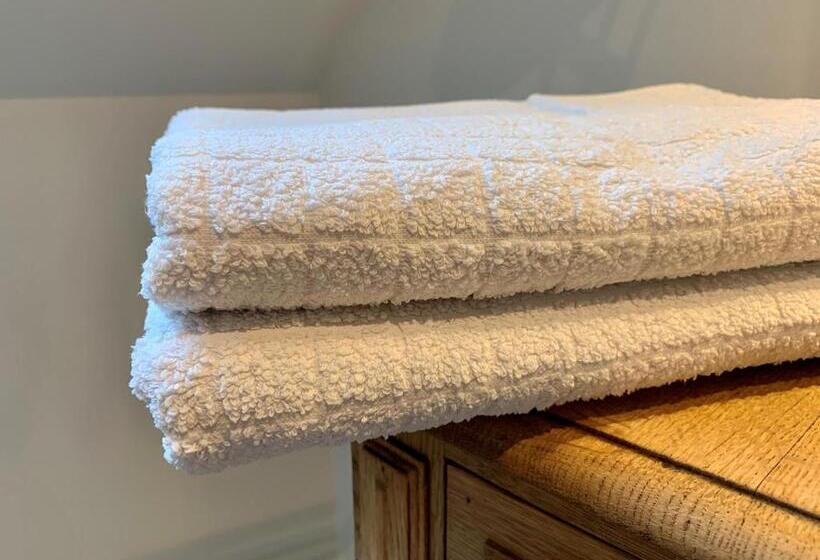 غرفة قياسية, B&b Meilrijk