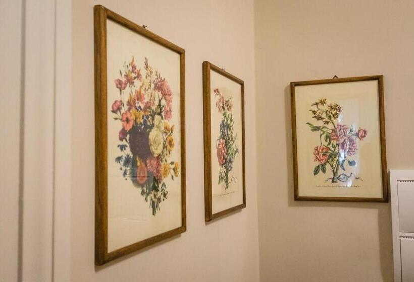 اتاق استاندارد, Hortensia Garden