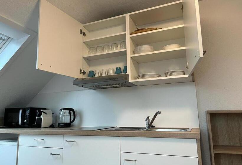 带1个卧室的高级公寓, Boardinghouse Heilbronn