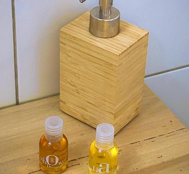 带大床的豪华间, La Villa Hossegor