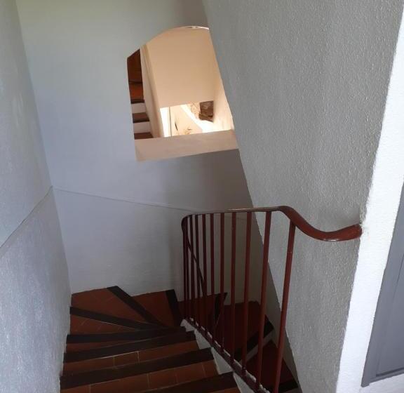 マウンテンビュースタンダードルーム, Dacamaloya