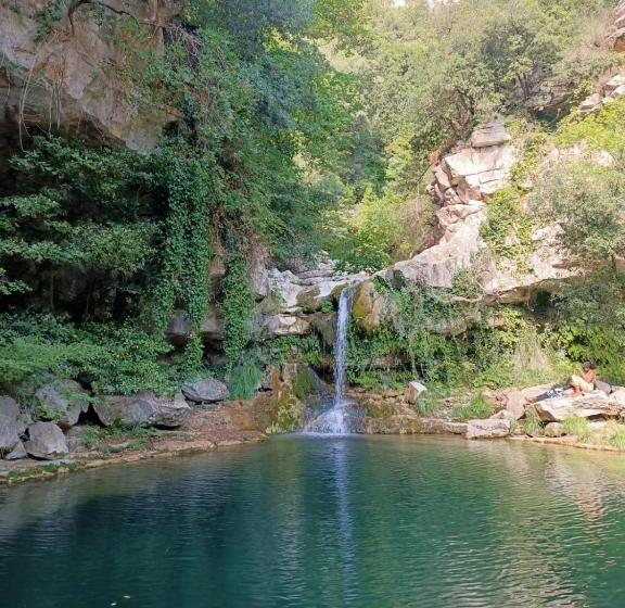 マウンテンビュースタンダードルーム, Dacamaloya