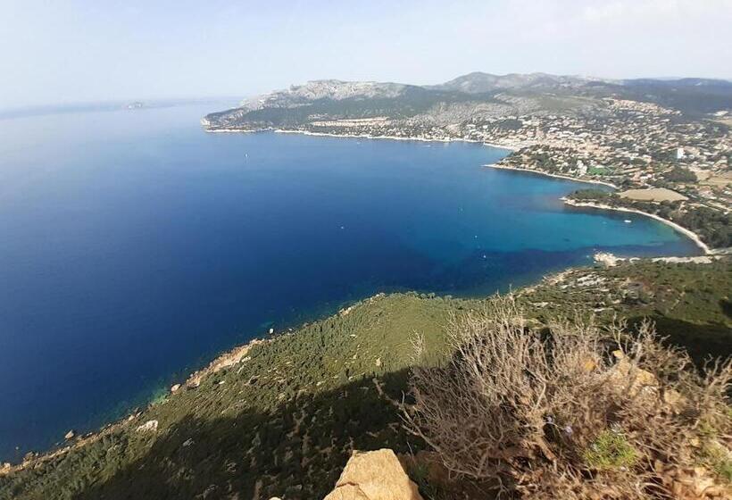 マウンテンビュースタンダードルーム, Dacamaloya