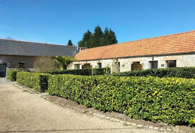 テラス付きスタンダードルーム, Le Relais De Roscarven