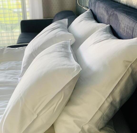 اتاق استاندارد با تخت بزرگ, Ti