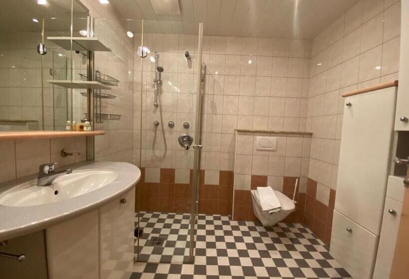 סטודיו דלוקס, Apartments Hohenberger