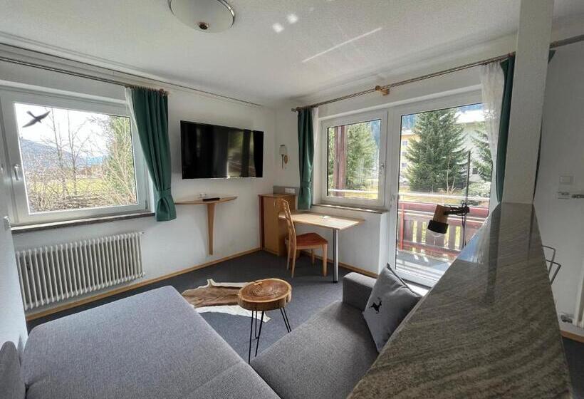 إستوديو ديلوكس, Apartments Hohenberger