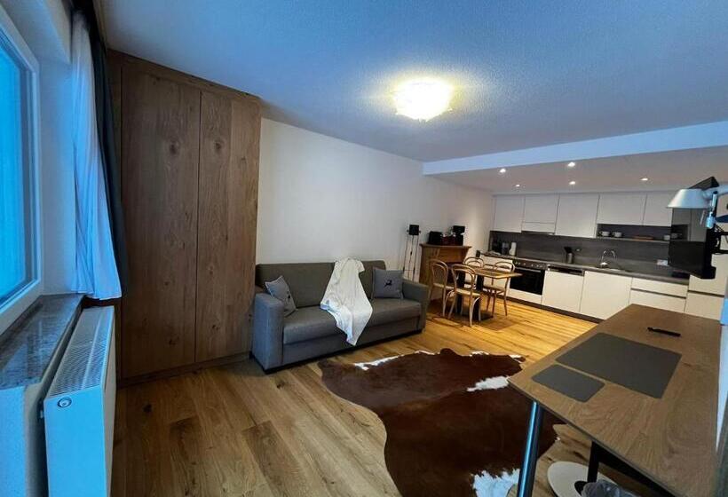 شقة غرفة نوم واحدة بالطابق الأرضى, Apartments Hohenberger