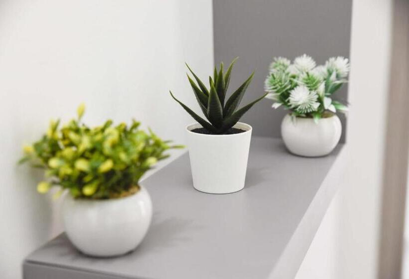 豪华房间, La Casa Del Gabbo