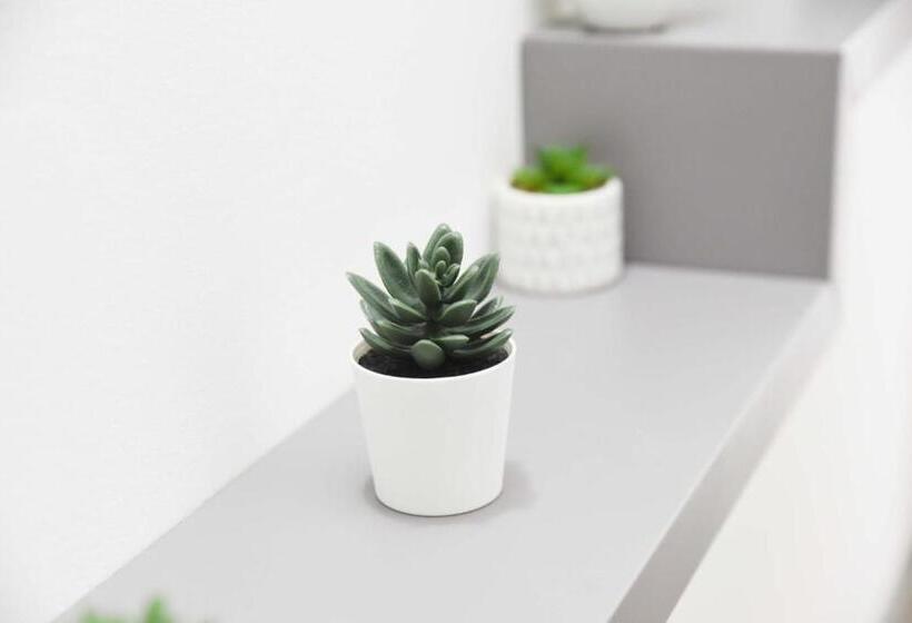 豪华房间, La Casa Del Gabbo