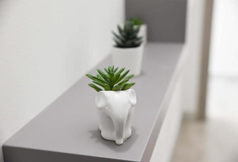 标准三人间, La Casa Del Gabbo