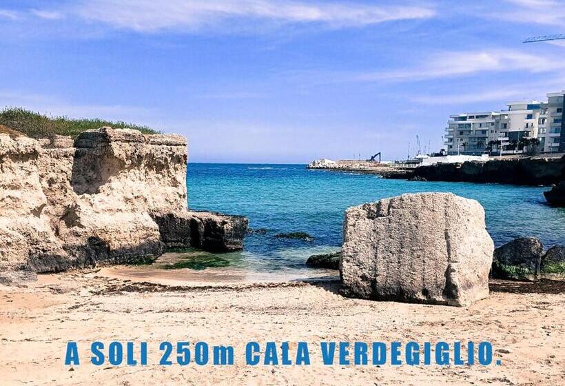 高级大房间, La Casa Del Gabbo