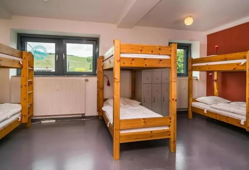 اتاق خانوادگی, Babelfish Hostel