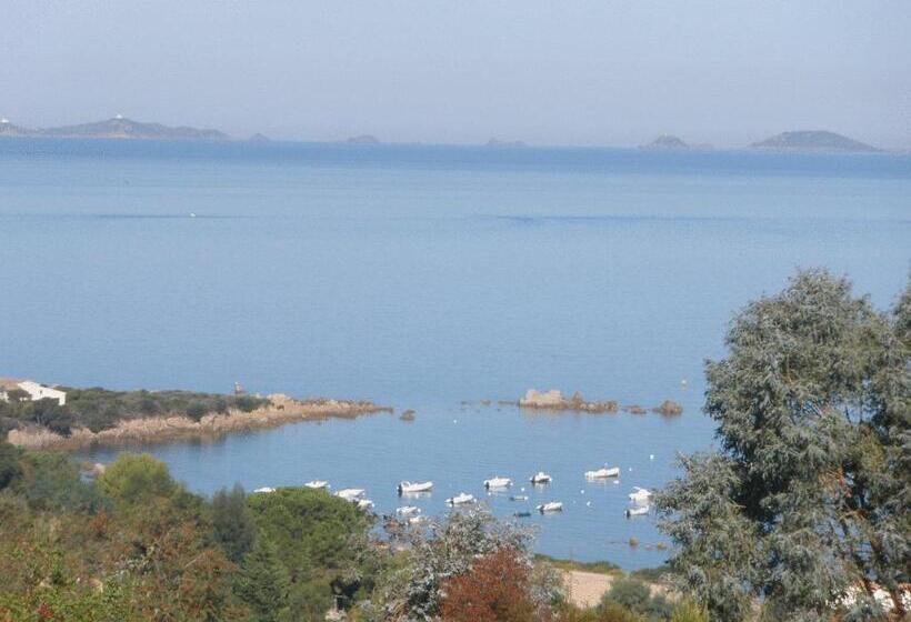 海景标准间露台, Celine