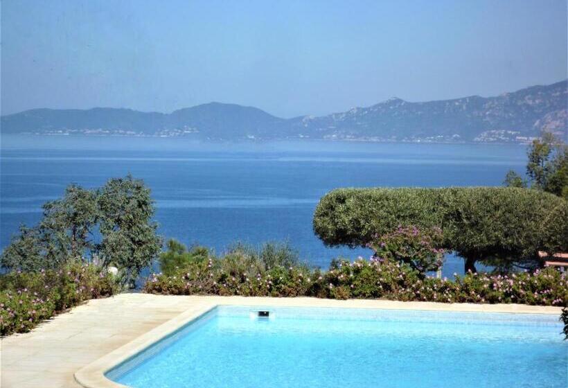 海景标准间露台, Celine