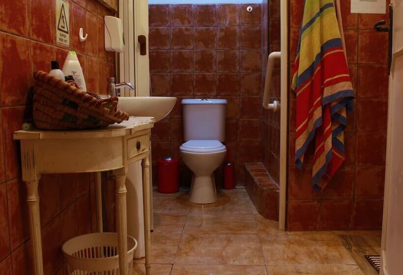 تختخواب در اتاق مشترک, Hostel Malti Budget