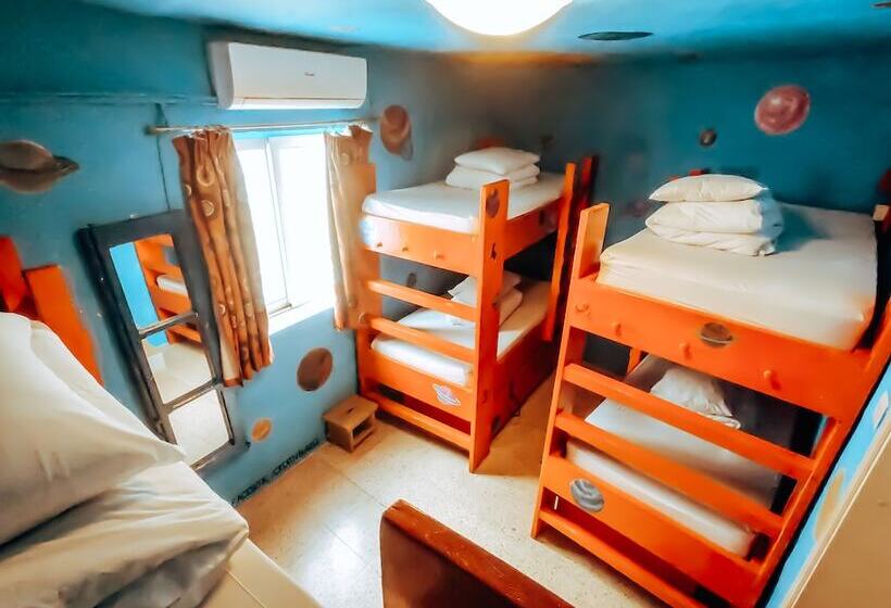 تختخواب در اتاق مشترک, Hostel Malti Budget