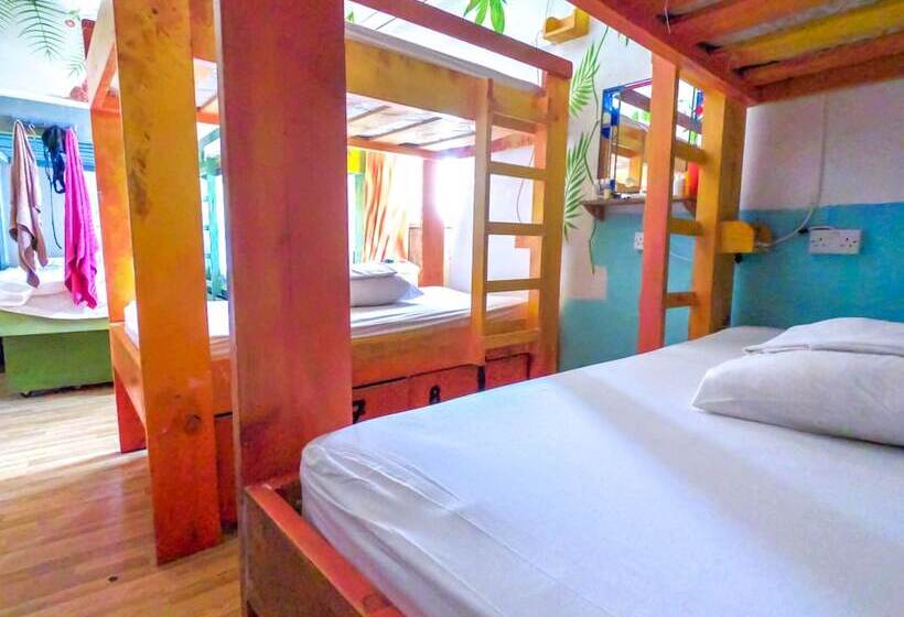 تختخواب در اتاق مشترک, Hostel Malti Budget