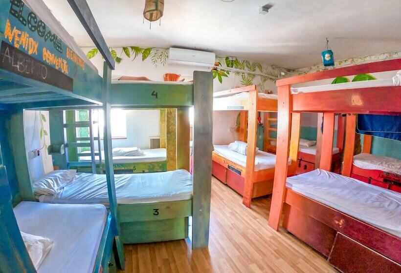 تختخواب در اتاق مشترک, Hostel Malti Budget