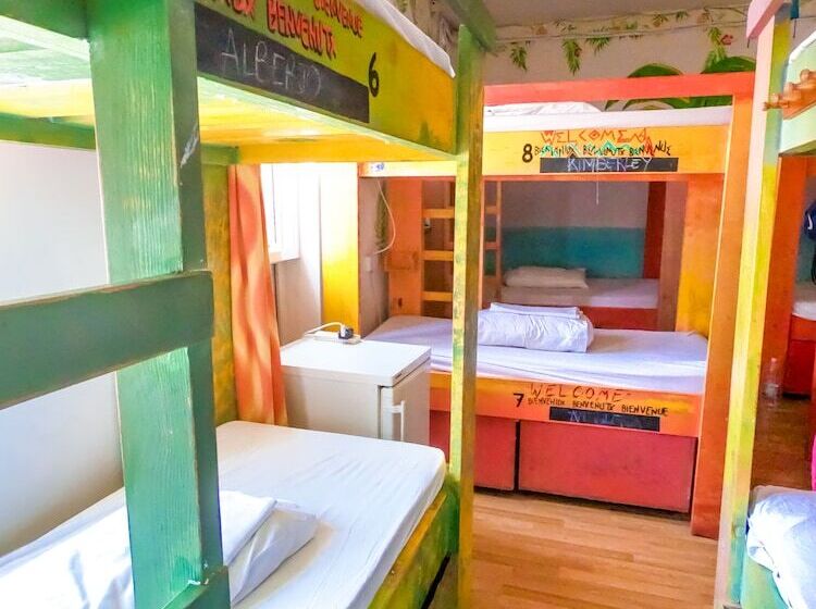 تختخواب در اتاق مشترک, Hostel Malti Budget