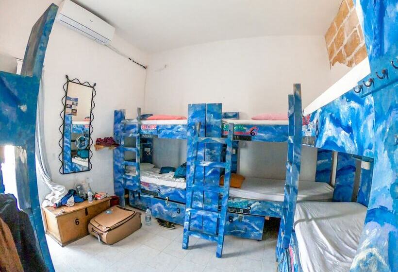 تختخواب در اتاق مشترک, Hostel Malti Budget