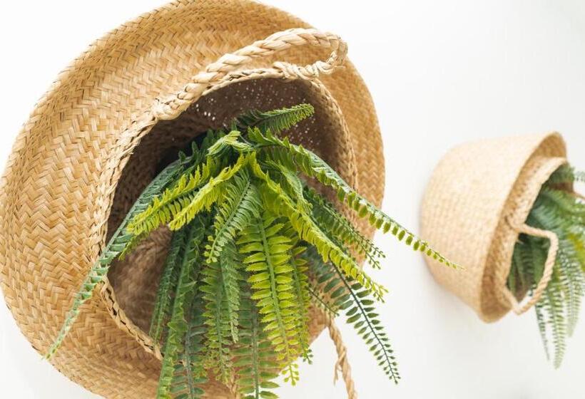 اتاق استاندارد, Picnic Dreams Boutique Hostel