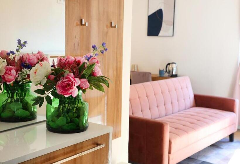 身障者適用キングサイズベッドルーム, Duna P Art Panzió