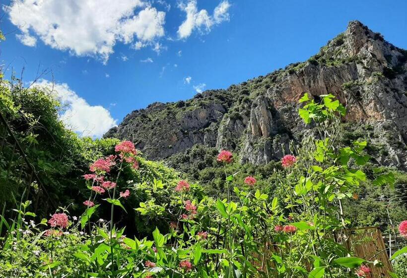 庭の見える１ベッドルームアパートメント, Les Chambres Chouettes