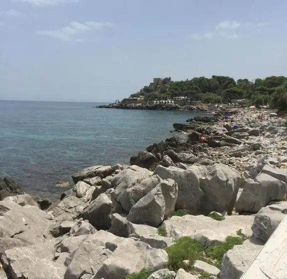 آپارتمان 1 خوابه, Ashur Mondello
