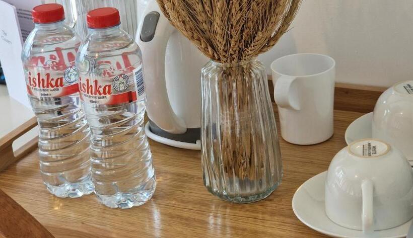 غرفة قياسية, The Cloisters