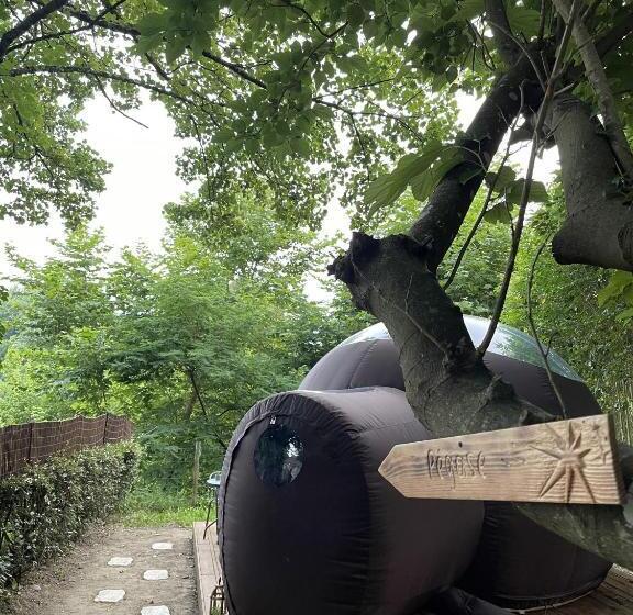 חדר סופריור, Les Nuits De Cassiopee