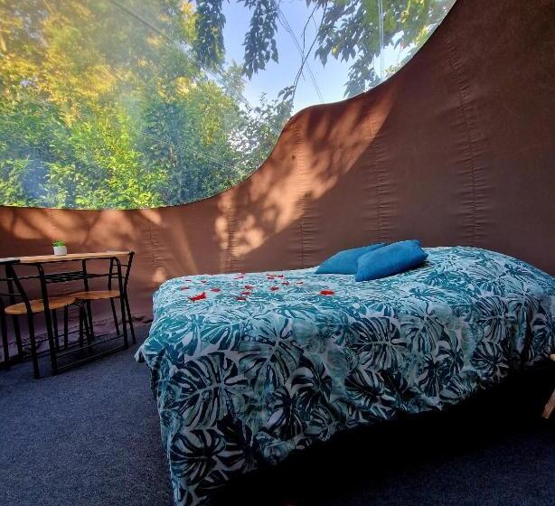 חדר סופריור, Les Nuits De Cassiopee