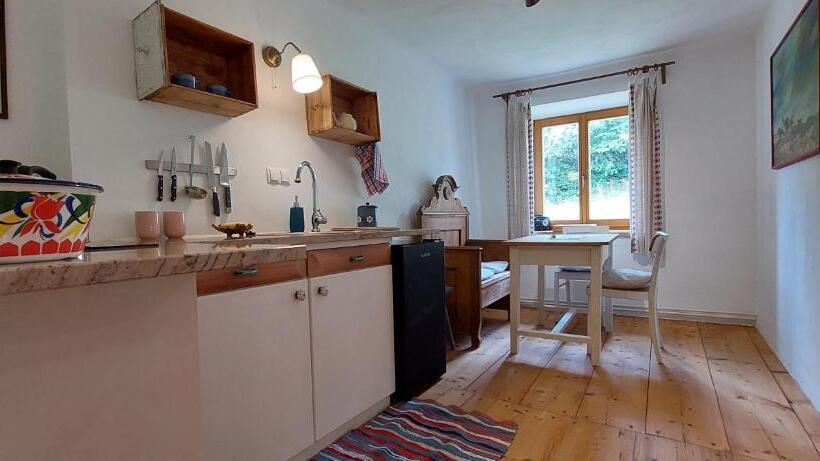 شقة ديلوكس غرفة واحدة, Graslandhof