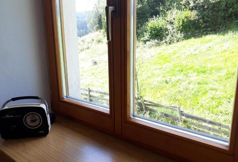 شقة ديلوكس غرفة واحدة, Graslandhof