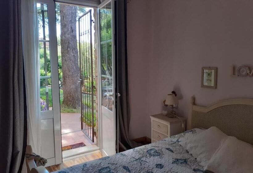 豪华房间, Il Nido Di Kiki Affittacamere Bike &fun