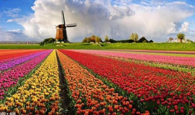 디럭스 룸 킹사이즈 침대, Lodge & Loft