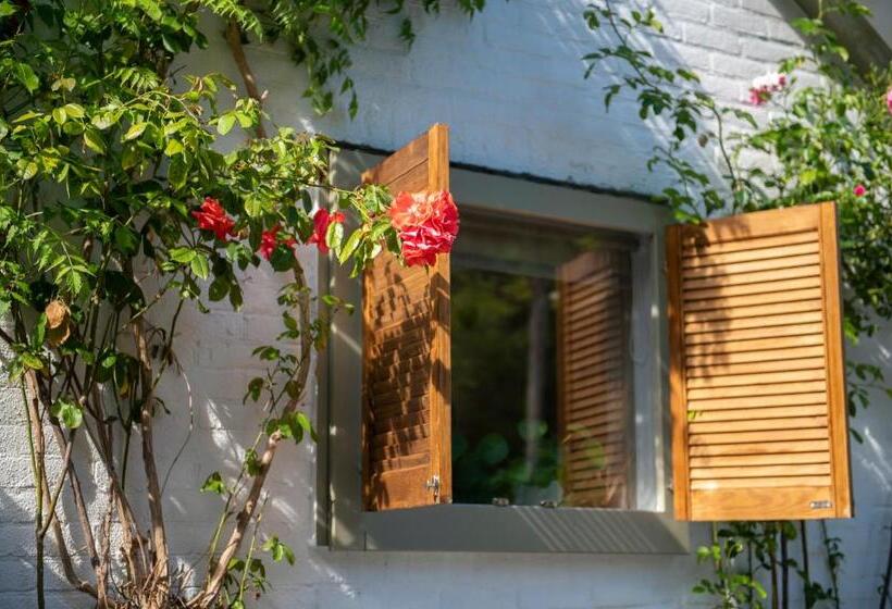 수피리어 스튜디오, Lodge & Loft