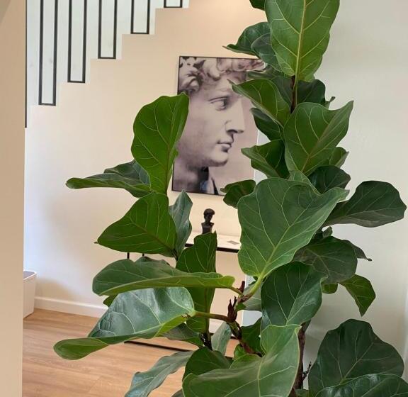 스탠다드 테라스 룸, Sciabica Suite Sicilian Experience