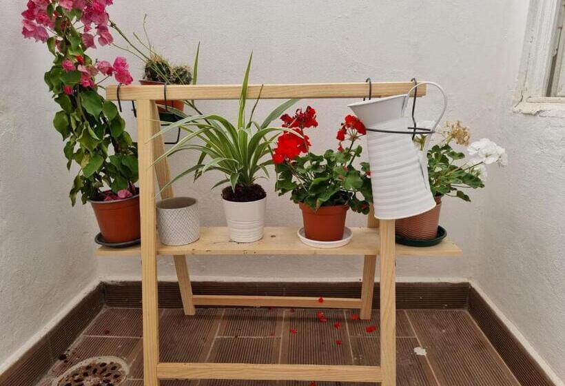 اتاق لوکس, Dream Days Guesthouse