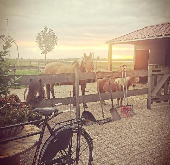 اتاق استاندارد با چشمانداز باغ, B&b Op De Terp