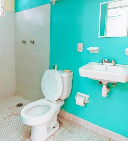 Quarto Estandar, Lekami